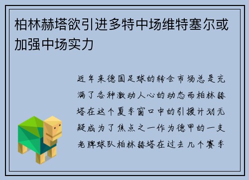 柏林赫塔欲引进多特中场维特塞尔或加强中场实力