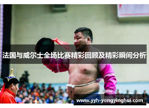 法国与威尔士全场比赛精彩回顾及精彩瞬间分析